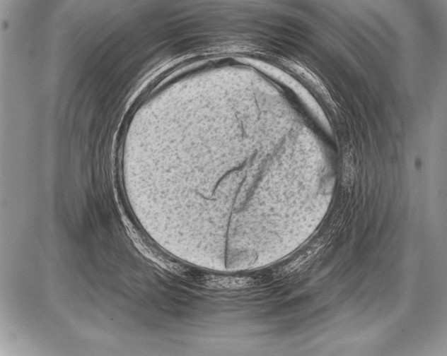 X0000085731039200704131614