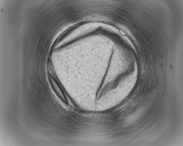 X0000085731040200704131614