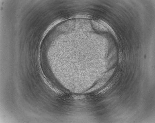 X0000085731043200704131614