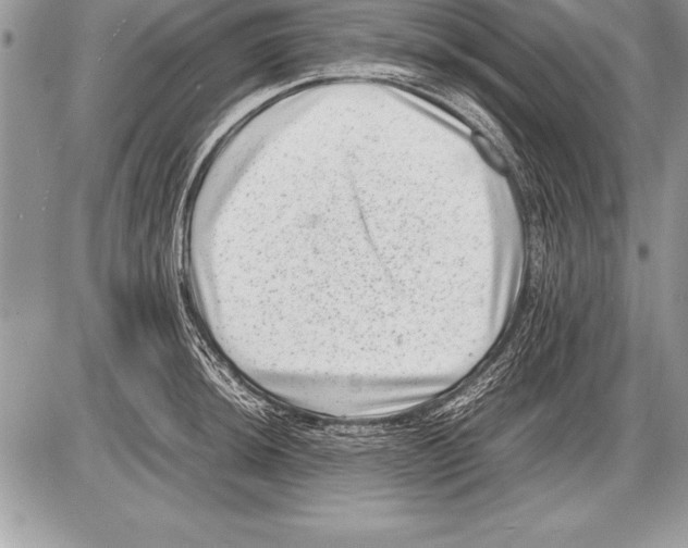 X0000085731044200704131614