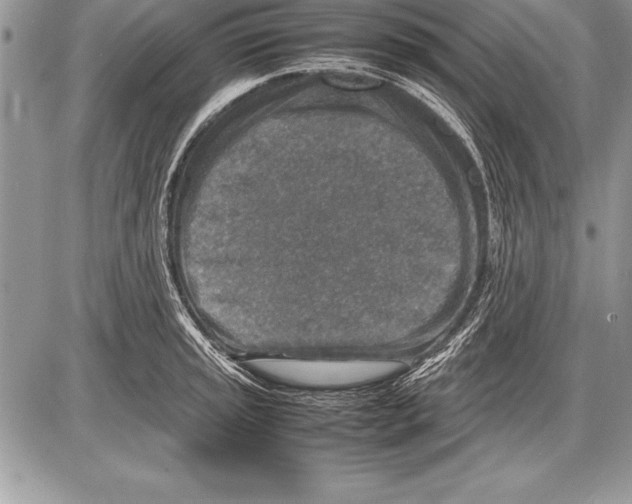 X0000085731045200704131614