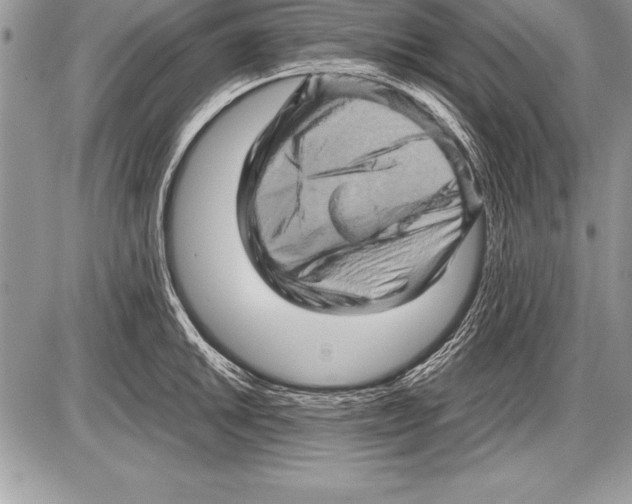 X0000085731046200704131614