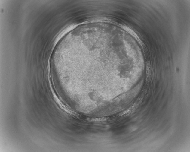 X0000085731047200704131614