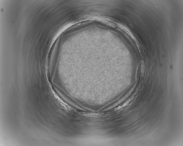 X0000085731048200704131614