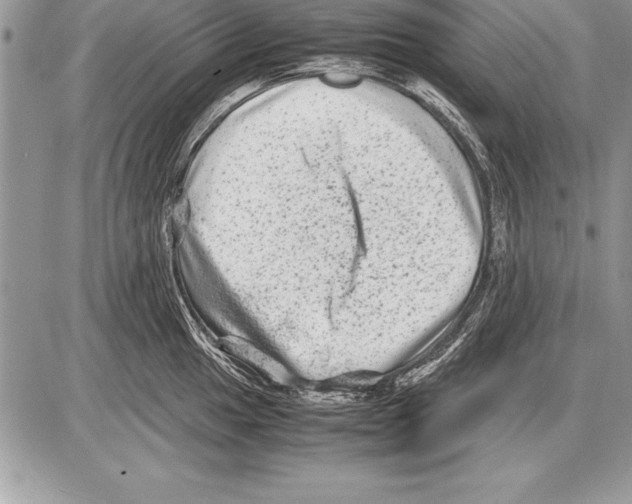 X0000085731049200704131614