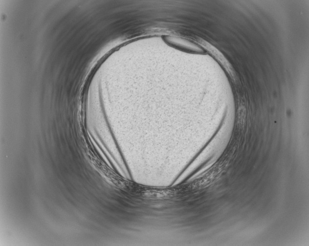 X0000085731051200704131614