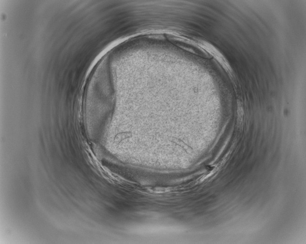 X0000085731052200704131614