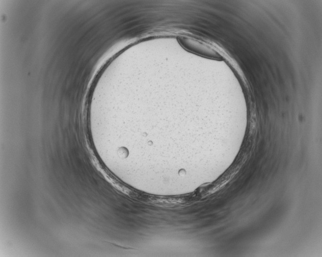 X0000085731053200704131614