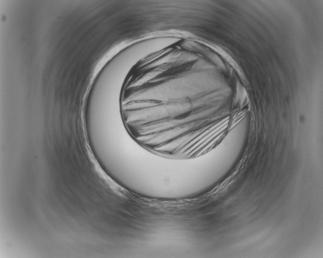 X0000085731054200704131614