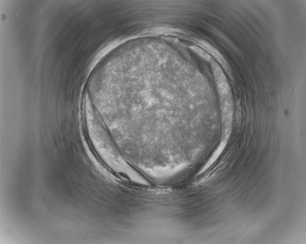 X0000085731055200704131614