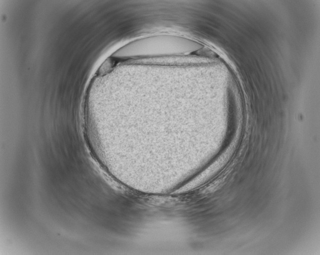 X0000085731056200704131614