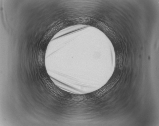 X0000085731058200704131613