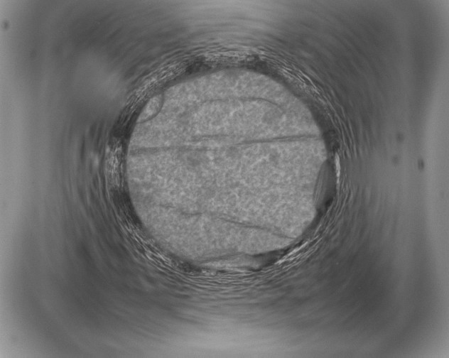 X0000085731059200704131613