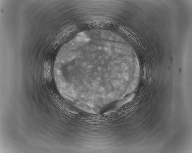 X0000085731060200704131613