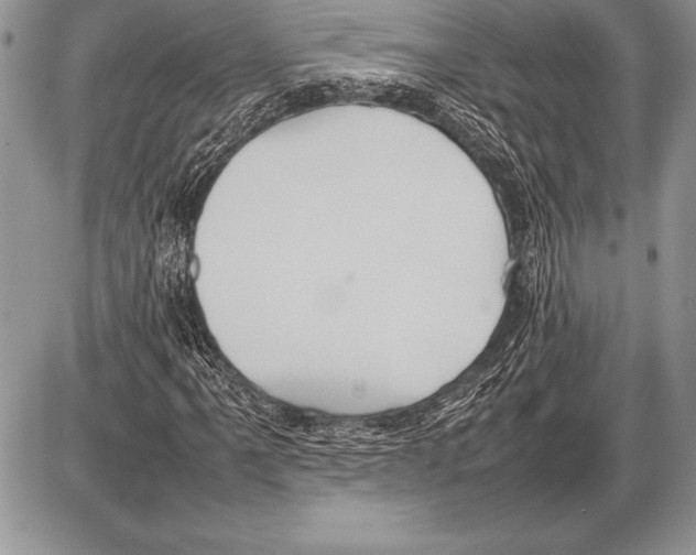 X0000085731061200704131613