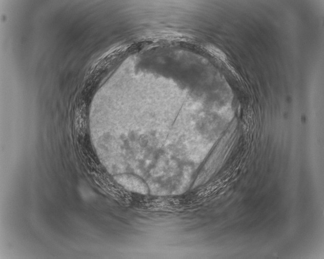 X0000085731063200704131613