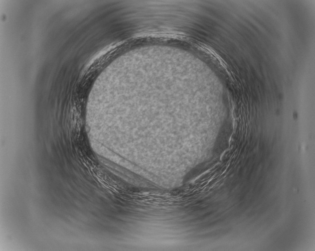 X0000085731064200704131613