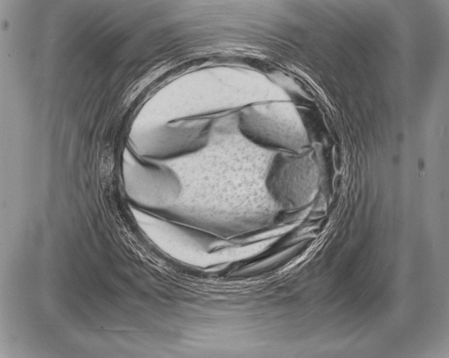 X0000085731065200704131613