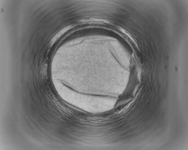 X0000085731066200704131613