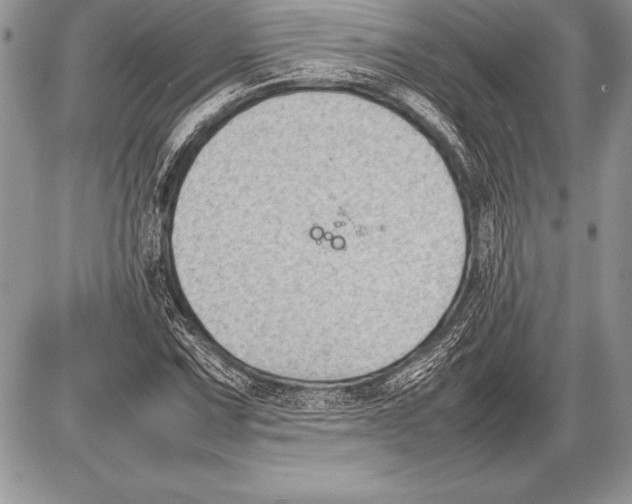 X0000085731067200704131613