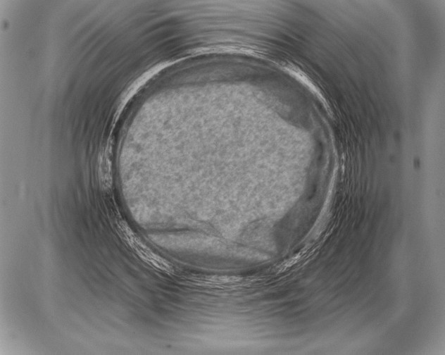 X0000085731068200704131613