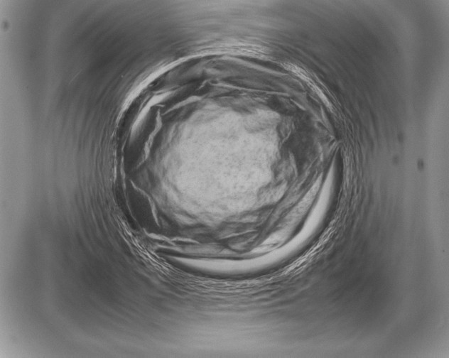 X0000085731069200704131613