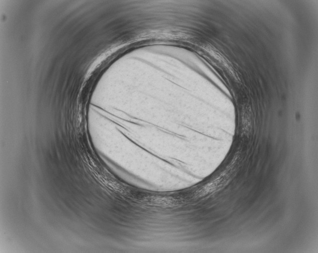 X0000085731070200704131613