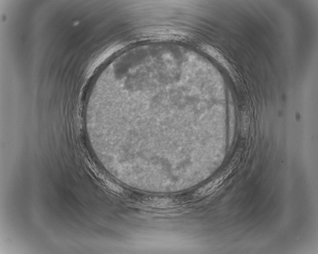 X0000085731071200704131613