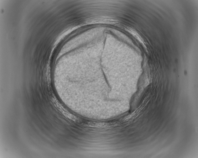 X0000085731072200704131613