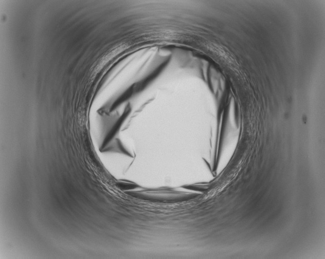 X0000085731073200704131613