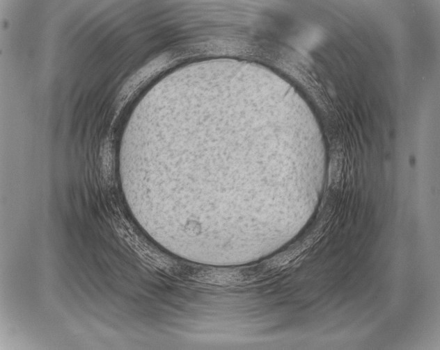 X0000085731074200704131613