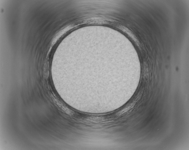 X0000085731075200704131613