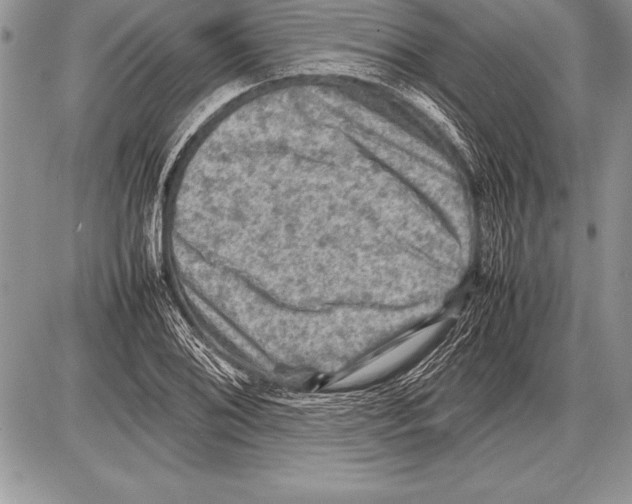 X0000085731076200704131613