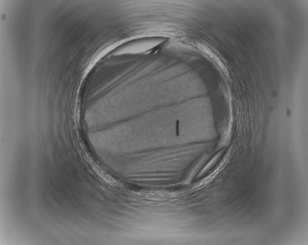 X0000085731077200704131613