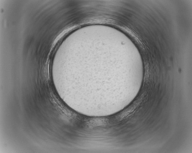 X0000085731078200704131613