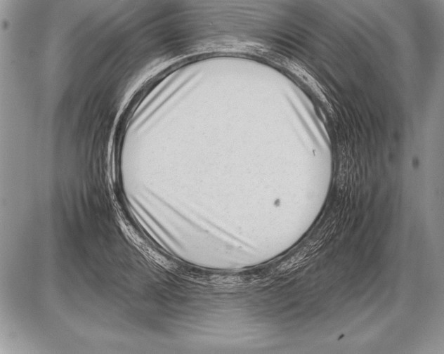 X0000085731080200704131613