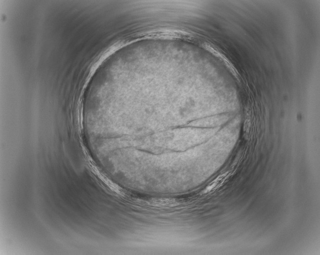 X0000085731083200704131613