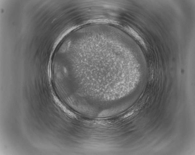 X0000085731084200704131613