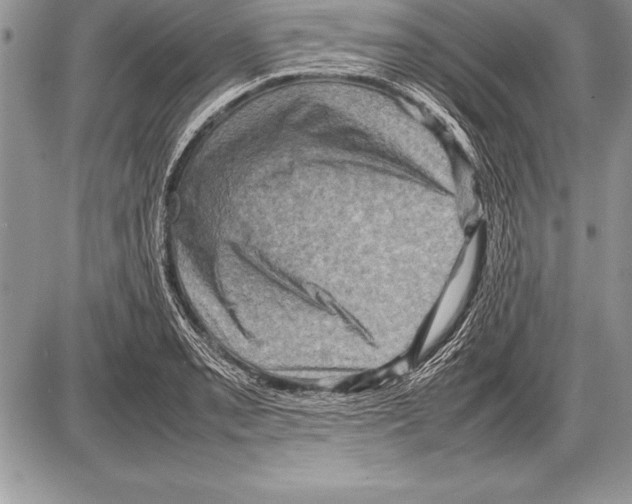 X0000085731085200704131613