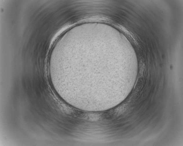 X0000085731086200704131613