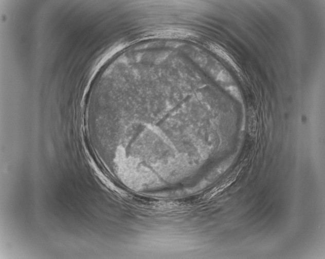 X0000085731087200704131613