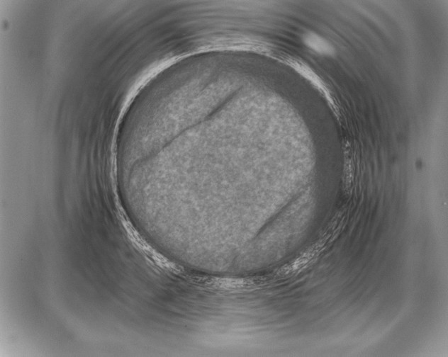 X0000085731088200704131613