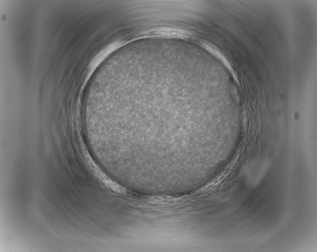 X0000085731091200704131613