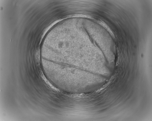 X0000085731092200704131613