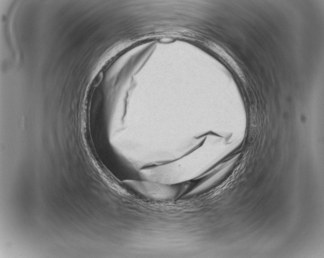 X0000085731093200704131613