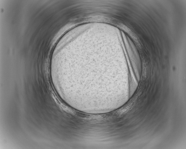 X0000085731094200704131613