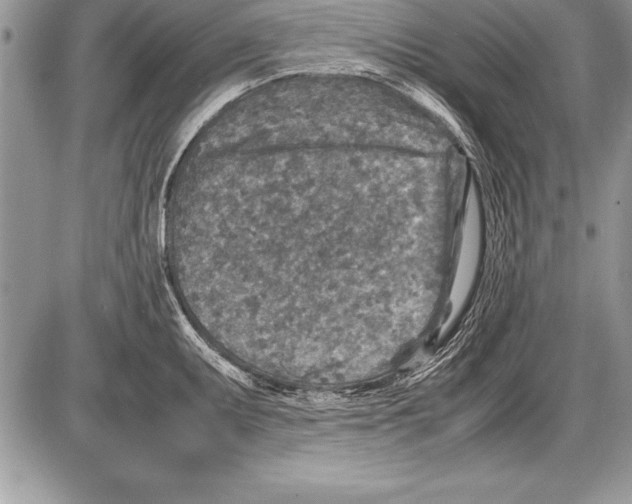 X0000085731095200704131613