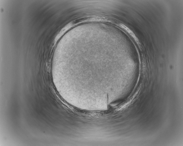 X0000085731097200704131613