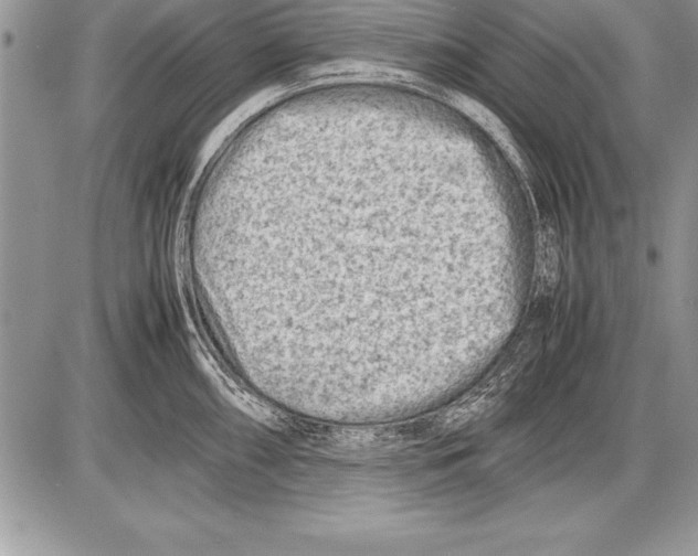 X0000085731098200704131613