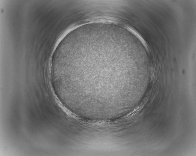 X0000085731099200704131613